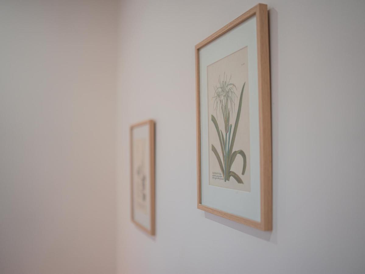 L'Annexe Clermont Ferrand公寓 外观 照片